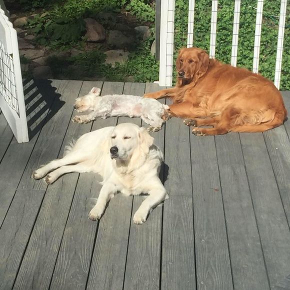 Meet your Posher, Audra - Picture 1 of 1